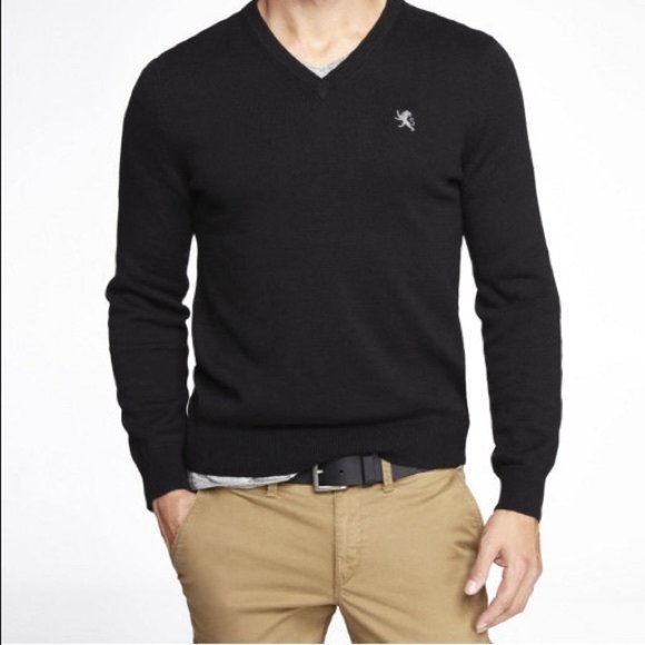 Express Other - LIKE NEW** EXPRESS MEN’S XL VNECK SWEATER